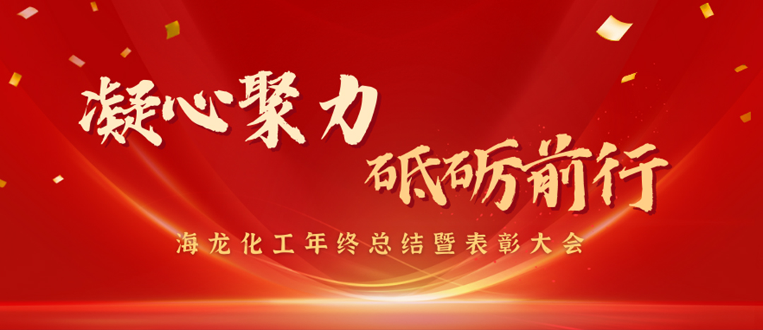表彰 | 凝心聚力，砥礪前行，海龍化工年終總結(jié)暨表彰大會(huì)圓滿舉行